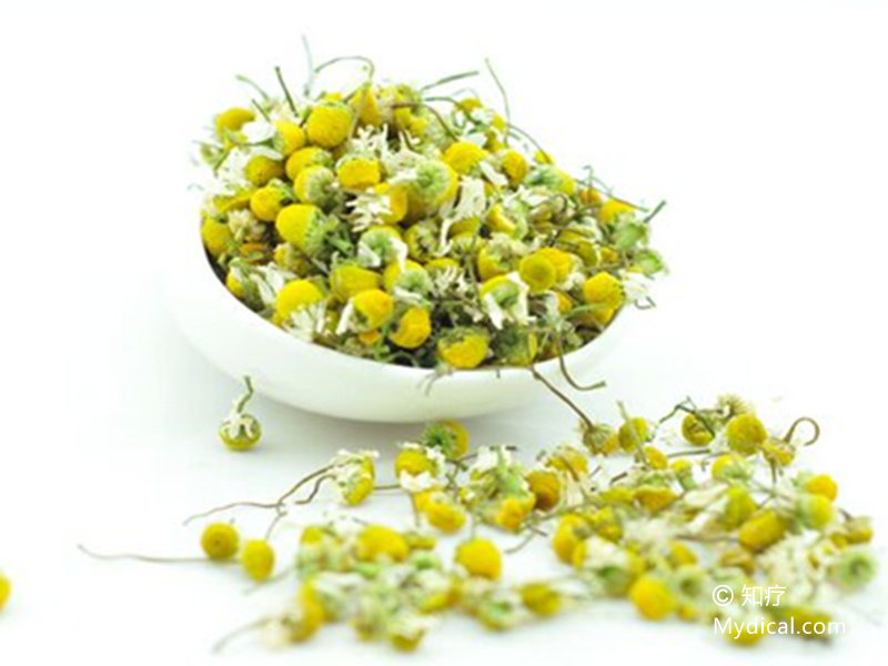 洋甘菊