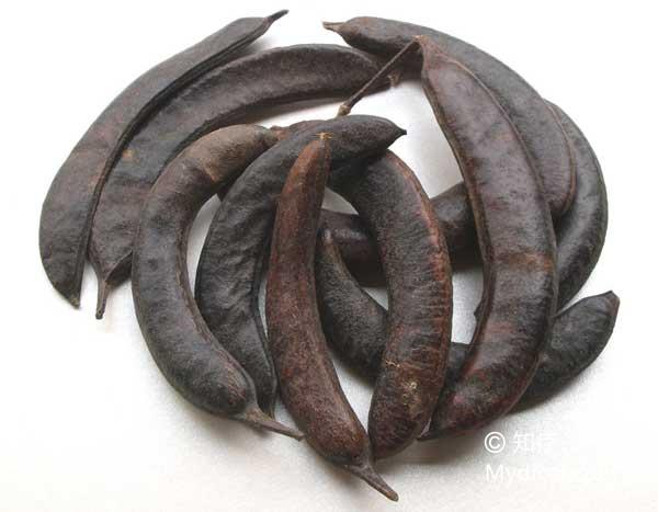 别名:皂荚(《本经》),鸡栖子(《广志》),皂角(《肘后方》),猪牙皂角