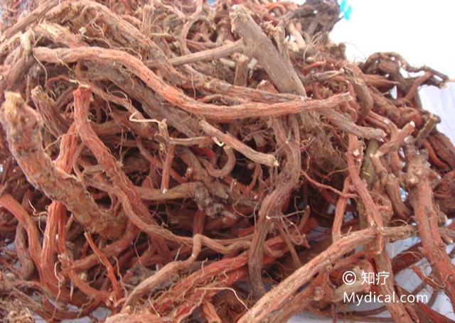 名称 羊红膻 别名:暂无 来源 为伞形科植物缺刻叶茴芹pimpinella