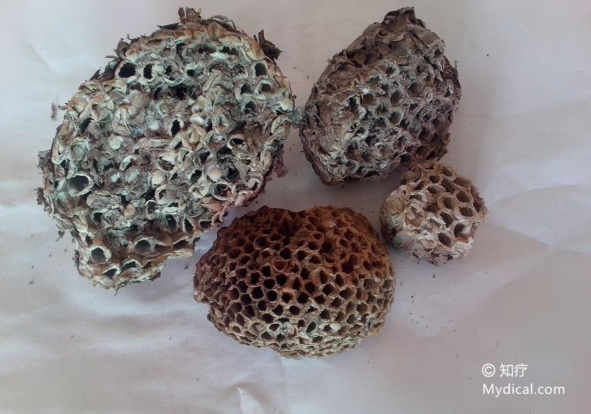 名称 蜂房 别名:露蜂房《本经,革蜂窠《雷公炮炙论,百穿,蜂