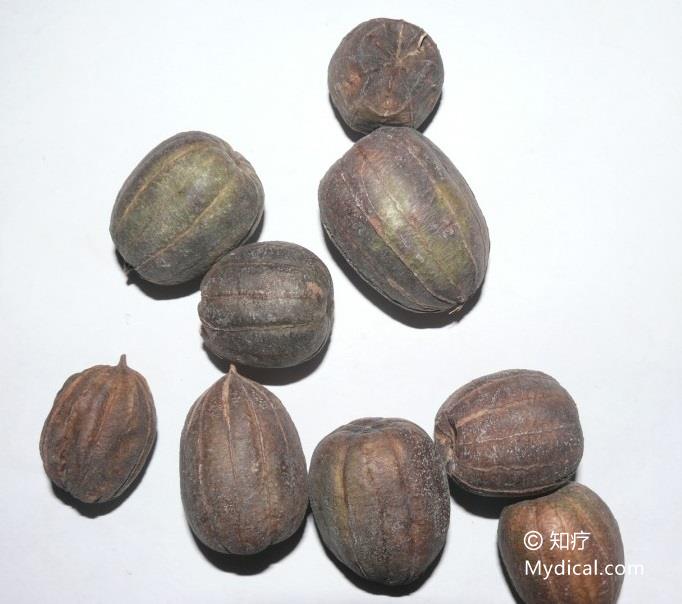 葫芦罐(《东北药植志》),臭铃铛(《河北药材》),蛇参果(《四川中药