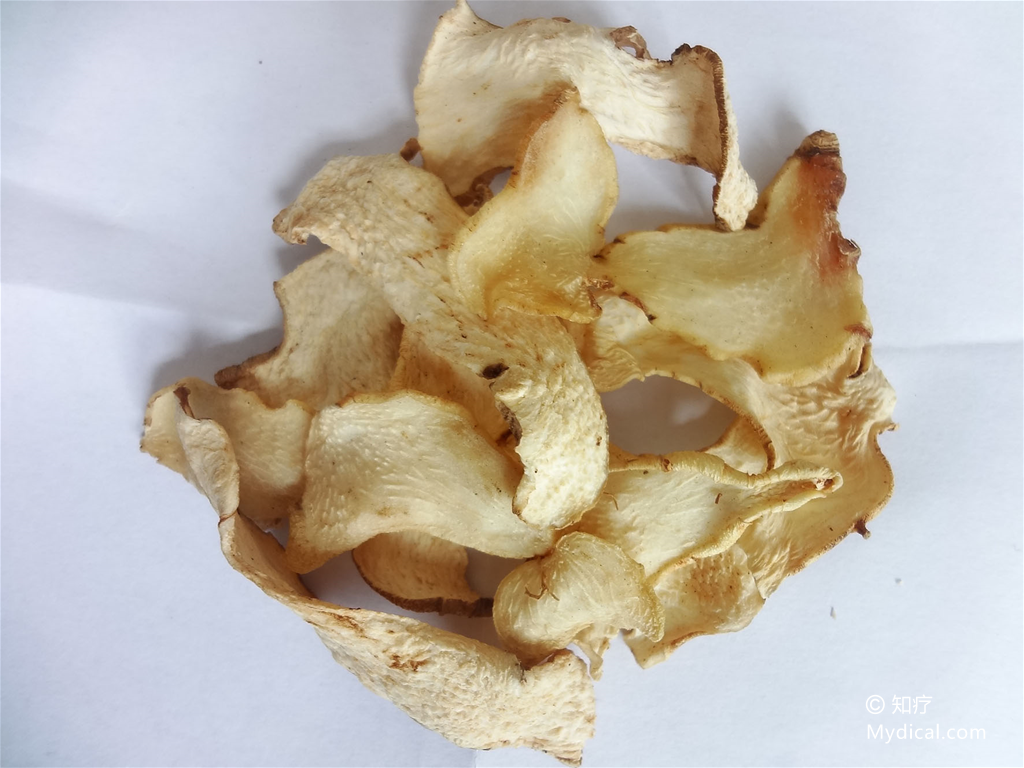 黄精   饮片